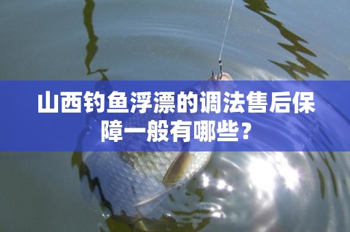 山西钓鱼浮漂的调法售后保障一般有哪些？