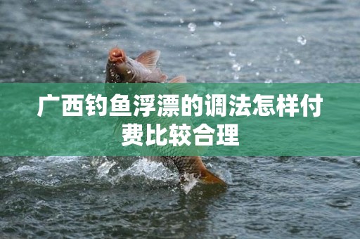 广西钓鱼浮漂的调法怎样付费比较合理