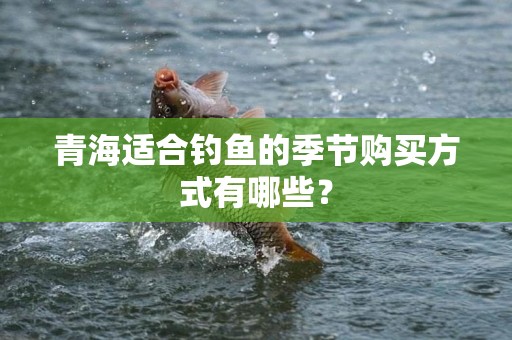 青海适合钓鱼的季节购买方式有哪些？