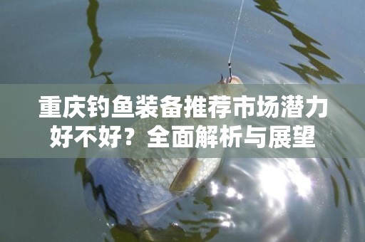 重庆钓鱼装备推荐市场潜力好不好？全面解析与展望