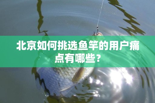 北京如何挑选鱼竿的用户痛点有哪些？