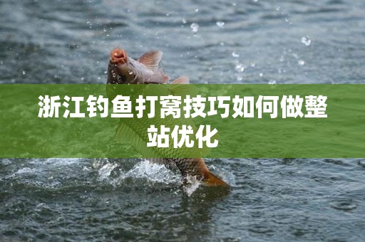 浙江钓鱼打窝技巧如何做整站优化