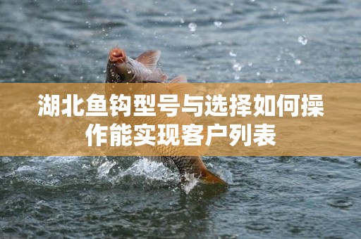 湖北鱼钩型号与选择如何操作能实现客户列表
