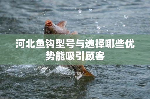 河北鱼钩型号与选择哪些优势能吸引顾客