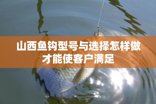 山西鱼钩型号与选择怎样做才能使客户满足