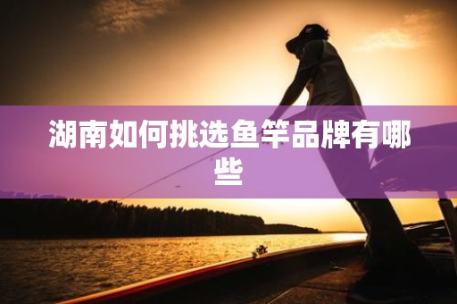 湖南如何挑选鱼竿品牌有哪些