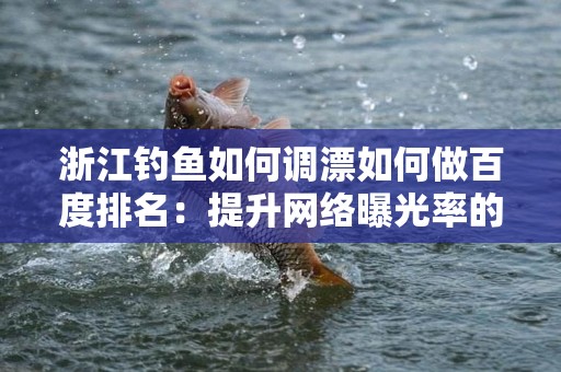 浙江钓鱼如何调漂如何做百度排名：提升网络曝光率的关键策略