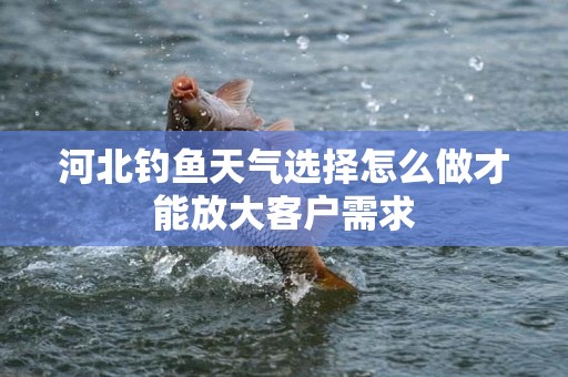河北钓鱼天气选择怎么做才能放大客户需求