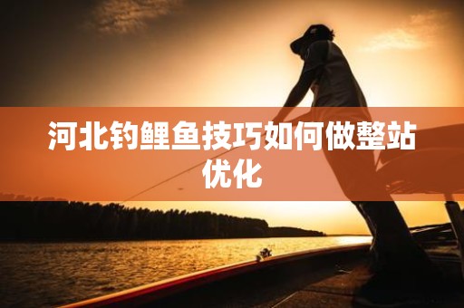 河北钓鲤鱼技巧如何做整站优化
