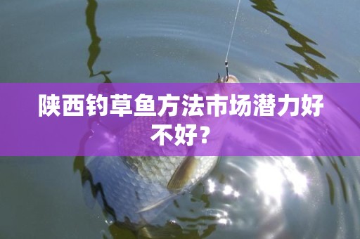 陕西钓草鱼方法市场潜力好不好？