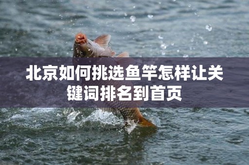 北京如何挑选鱼竿怎样让关键词排名到首页