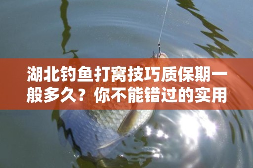 湖北钓鱼打窝技巧质保期一般多久？你不能错过的实用指南