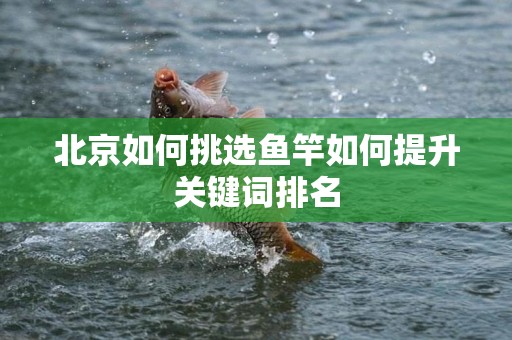 北京如何挑选鱼竿如何提升关键词排名