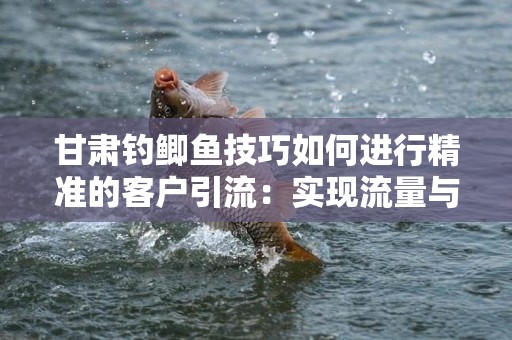 甘肃钓鲫鱼技巧如何进行精准的客户引流：实现流量与兴趣的双重收获