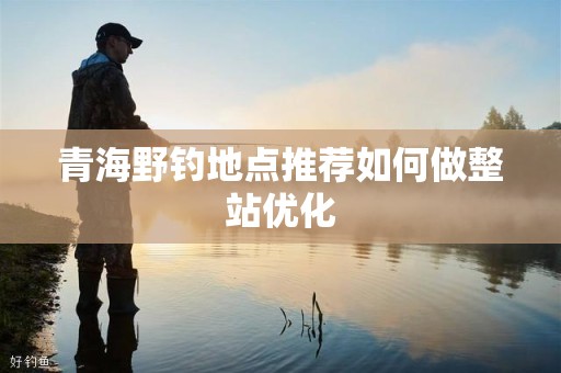 青海野钓地点推荐如何做整站优化
