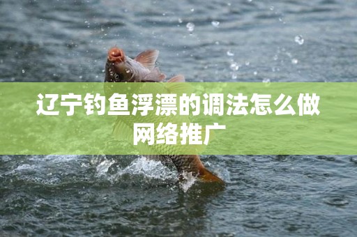 辽宁钓鱼浮漂的调法怎么做网络推广
