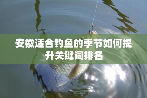 安徽适合钓鱼的季节如何提升关键词排名