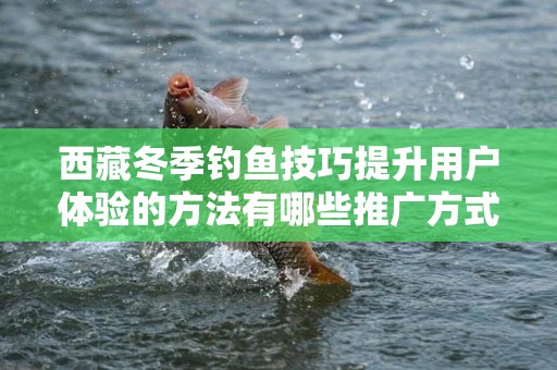 西藏冬季钓鱼技巧提升用户体验的方法有哪些推广方式有哪些