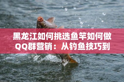 黑龙江如何挑选鱼竿如何做QQ群营销：从钓鱼技巧到市场推广的全面指南