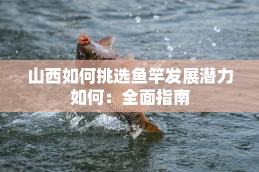 山西如何挑选鱼竿发展潜力如何：全面指南