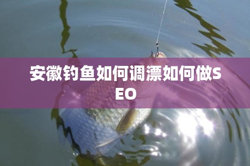 安徽钓鱼如何调漂如何做SEO