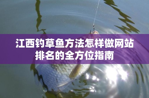 江西钓草鱼方法怎样做网站排名的全方位指南