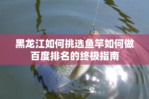 黑龙江如何挑选鱼竿如何做百度排名的终极指南