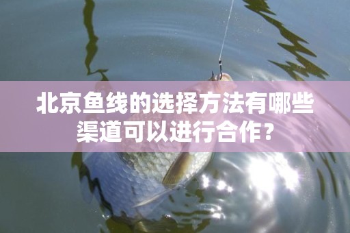 北京鱼线的选择方法有哪些渠道可以进行合作？