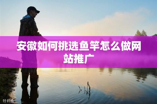 安徽如何挑选鱼竿怎么做网站推广