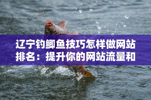 辽宁钓鲫鱼技巧怎样做网站排名：提升你的网站流量和知名度