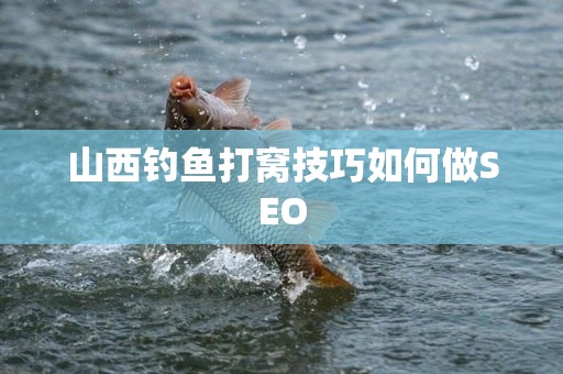山西钓鱼打窝技巧如何做SEO