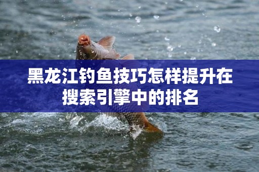 黑龙江钓鱼技巧怎样提升在搜索引擎中的排名