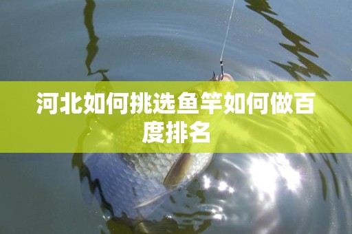 河北如何挑选鱼竿如何做百度排名