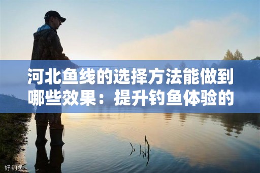 河北鱼线的选择方法能做到哪些效果：提升钓鱼体验的终极指南