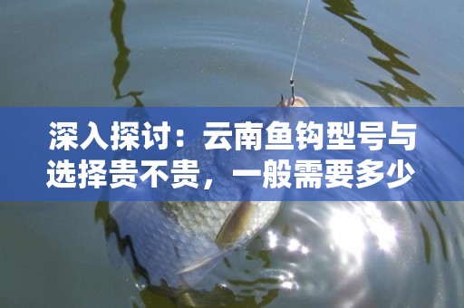 深入探讨：云南鱼钩型号与选择贵不贵，一般需要多少钱