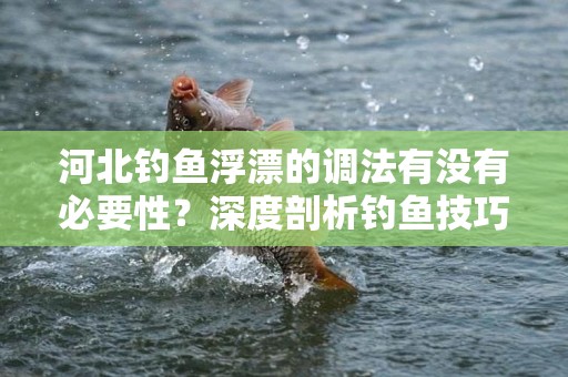 河北钓鱼浮漂的调法有没有必要性？深度剖析钓鱼技巧