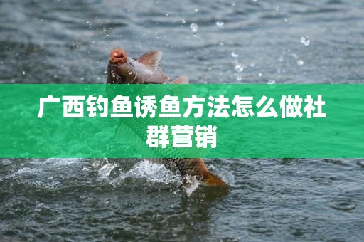 广西钓鱼诱鱼方法怎么做社群营销