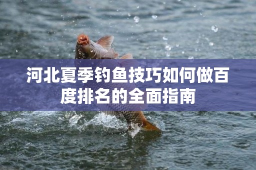 河北夏季钓鱼技巧如何做百度排名的全面指南