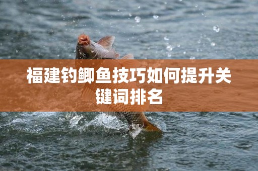 福建钓鲫鱼技巧如何提升关键词排名