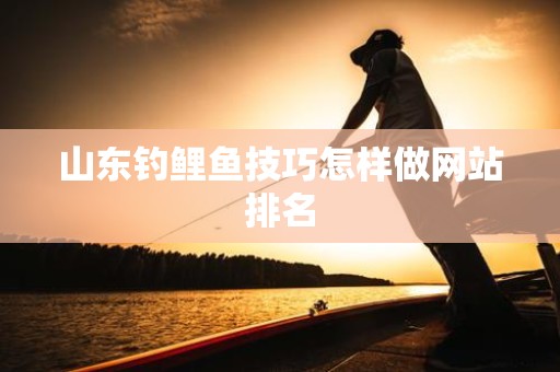 山东钓鲤鱼技巧怎样做网站排名