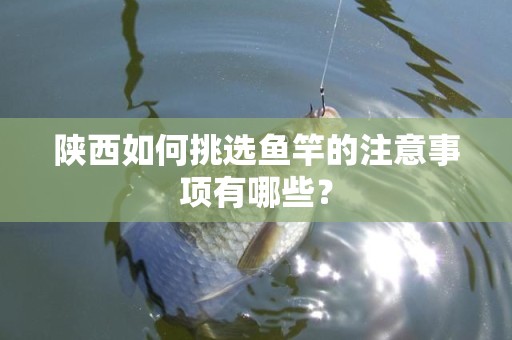 陕西如何挑选鱼竿的注意事项有哪些？