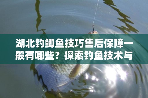 湖北钓鲫鱼技巧售后保障一般有哪些？探索钓鱼技术与服务