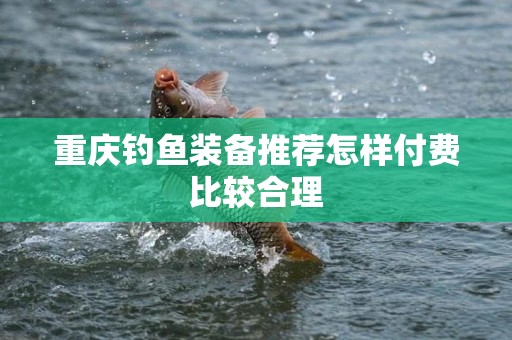 重庆钓鱼装备推荐怎样付费比较合理