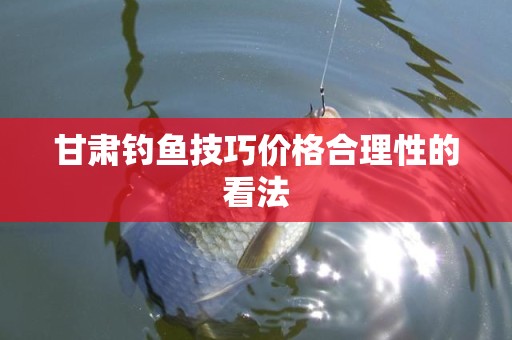 甘肃钓鱼技巧价格合理性的看法