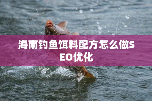 海南钓鱼饵料配方怎么做SEO优化