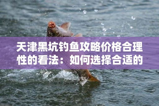天津黑坑钓鱼攻略价格合理性的看法：如何选择合适的钓鱼场所？