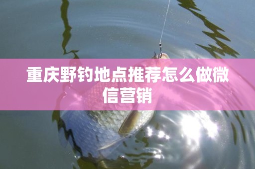 重庆野钓地点推荐怎么做微信营销