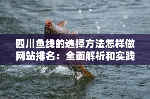 四川鱼线的选择方法怎样做网站排名：全面解析和实践指南