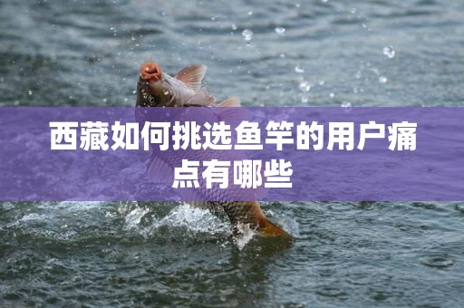 西藏如何挑选鱼竿的用户痛点有哪些
