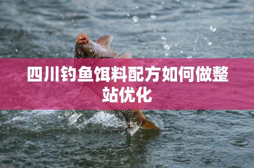 四川钓鱼饵料配方如何做整站优化